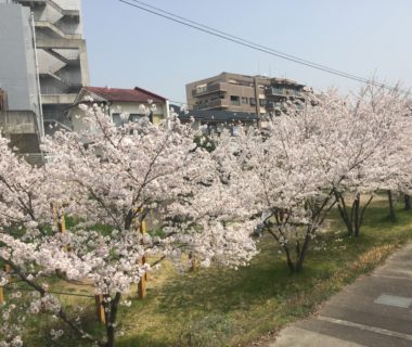 新規開業の相談がありました