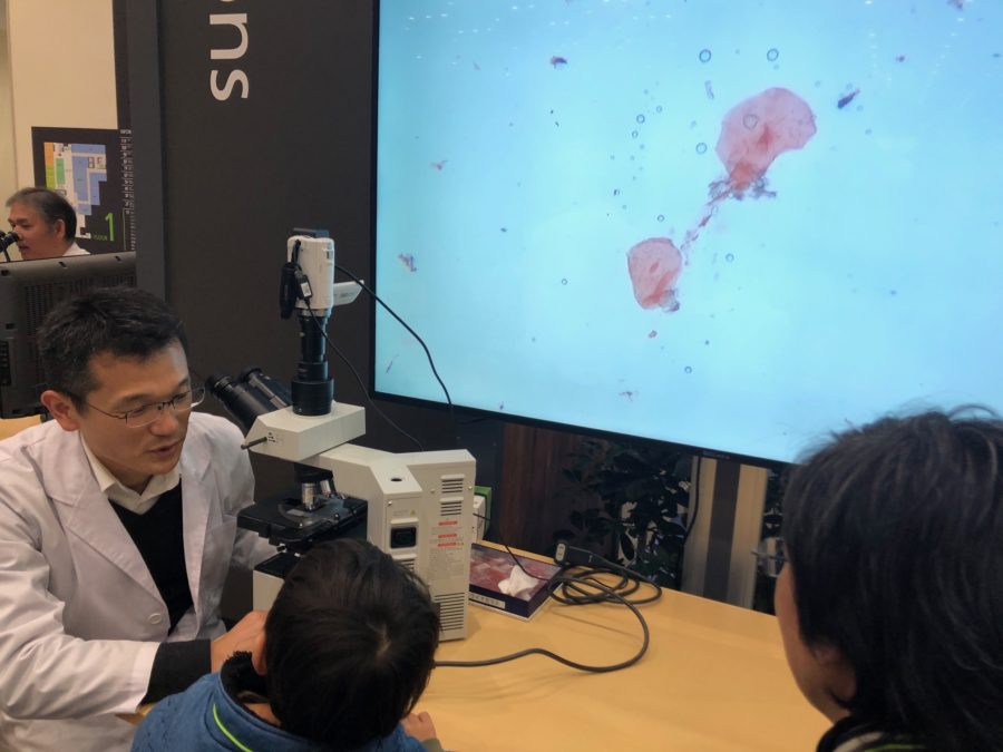 岡山理科大学の科学博物園に行ってきました1